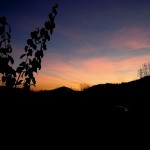 Novembre
