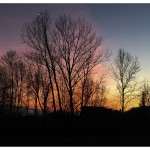 Falce di luna al tramonto