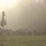 novembre nebbia
