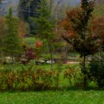 DSC_0040-002