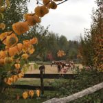 autunno campaz