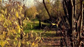 autunno parco