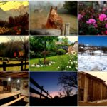 Questo piccolo mondo …