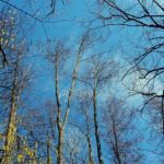 IMG-20160221-WA0013