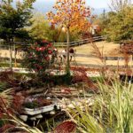 autunno cavalli
