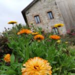 IMG_20191014_125600