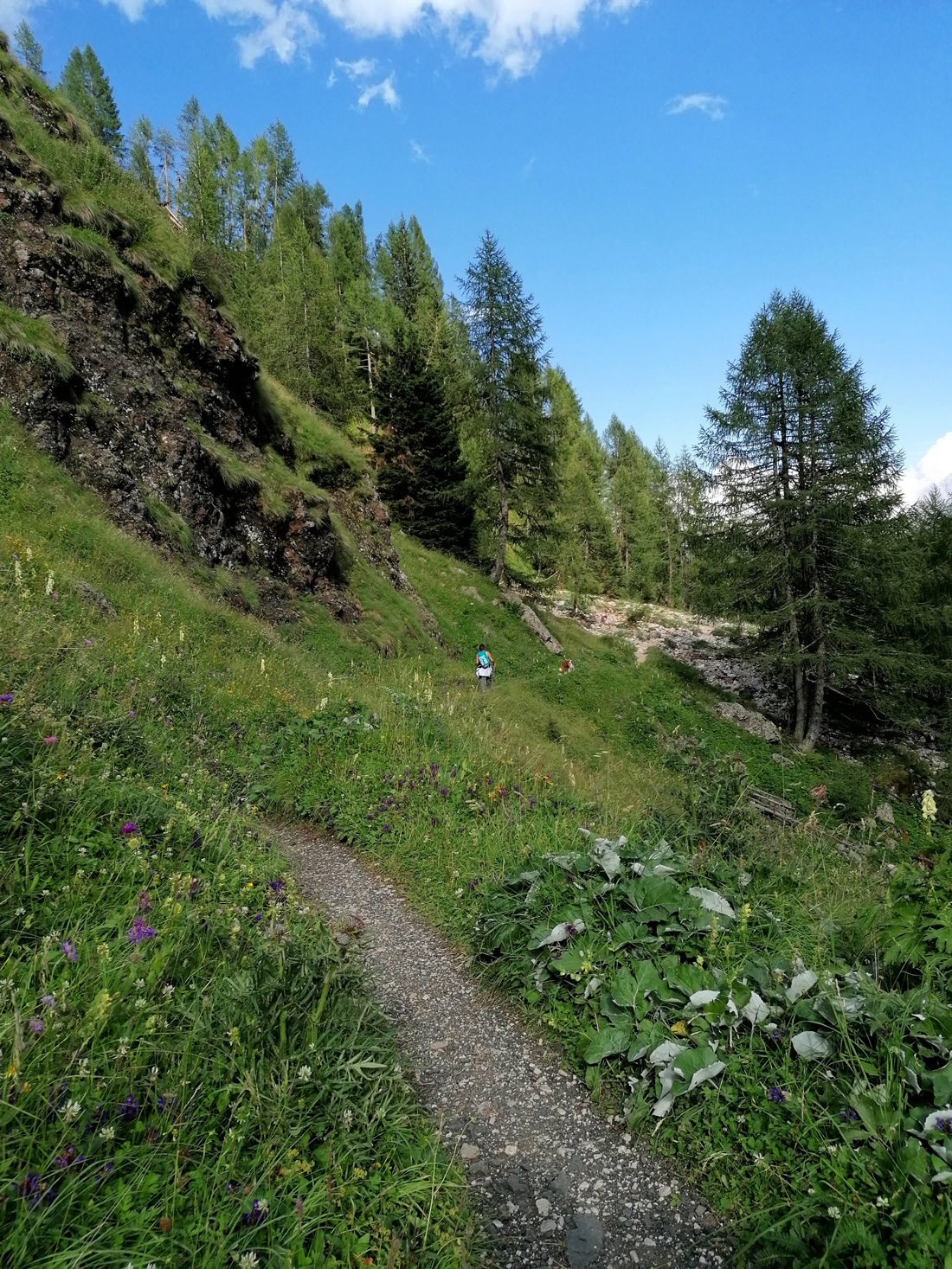 trekking malga ciapela