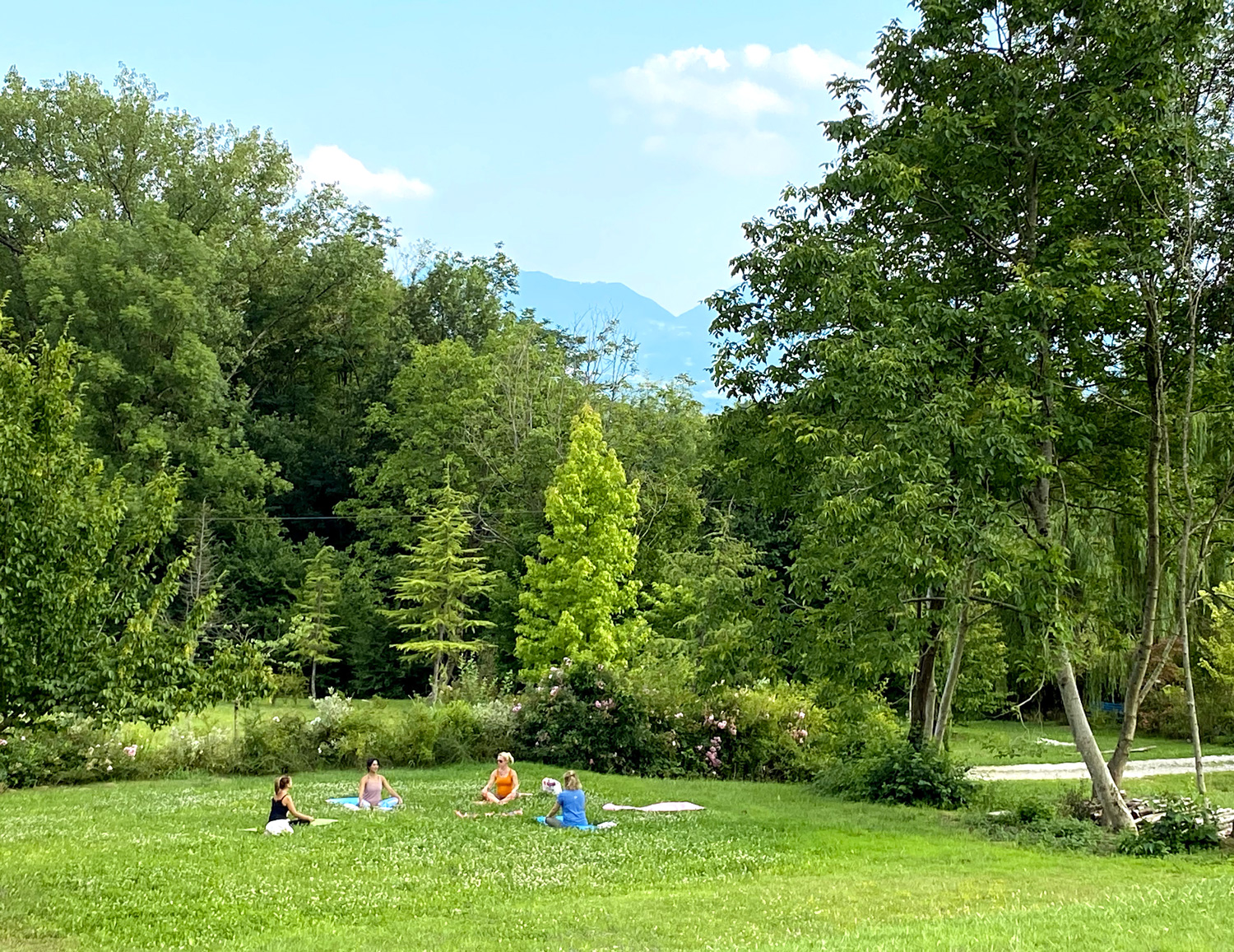 Joga nel parco della fattoria
