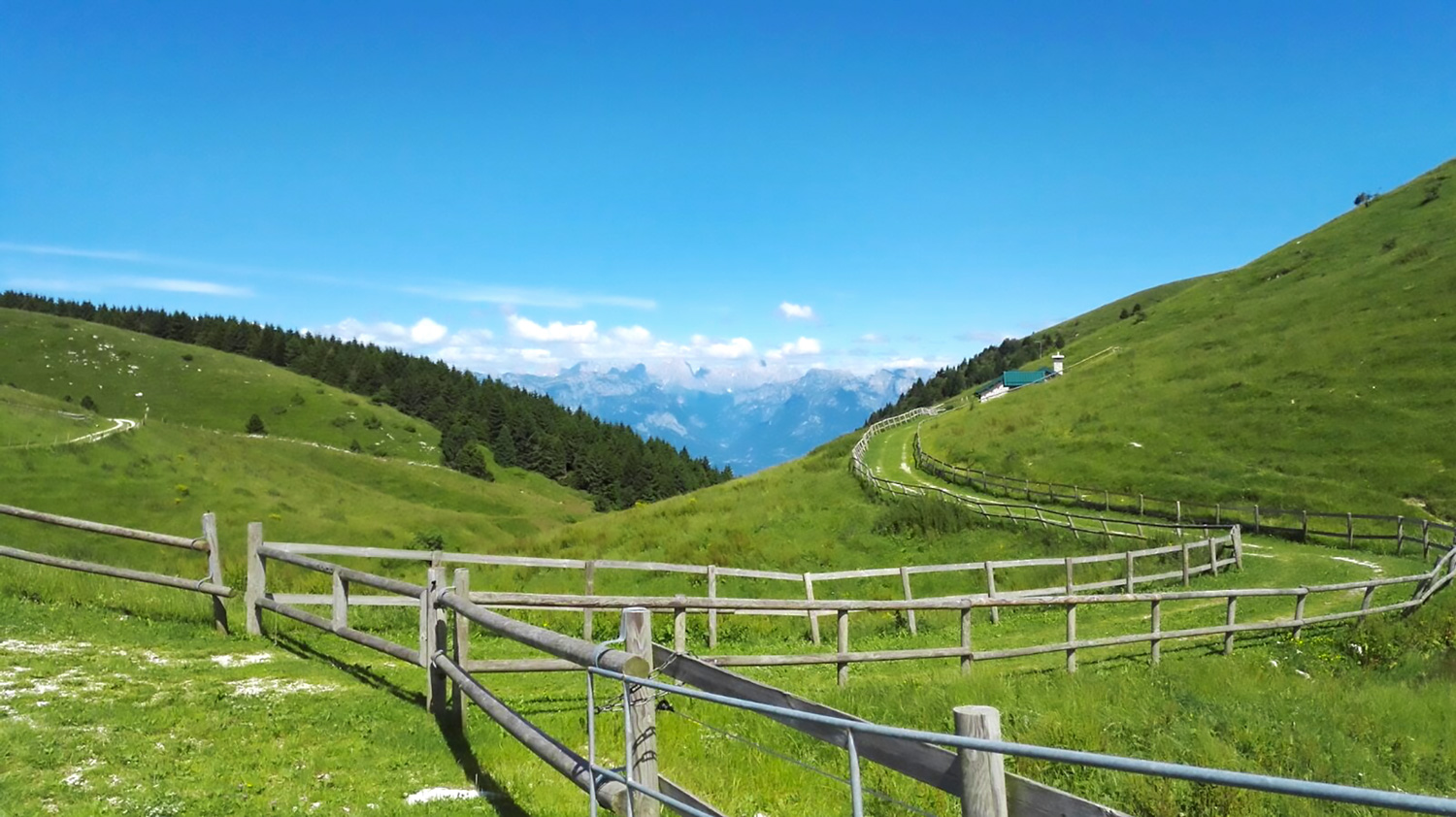 Pascoli della Valmorel valbelluna