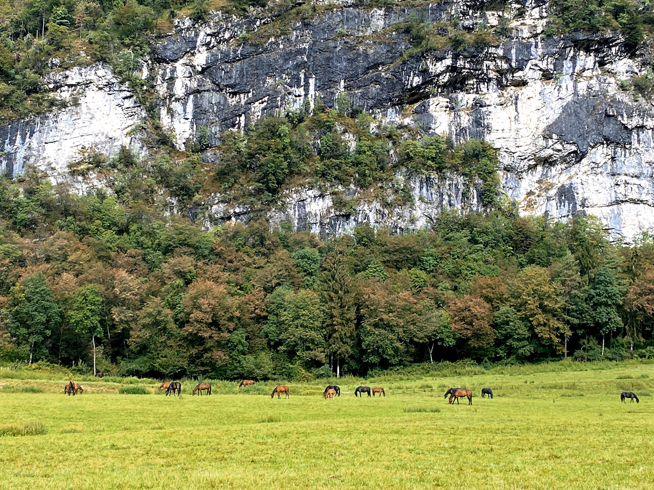 salet cavalli dolomiti valbelluna