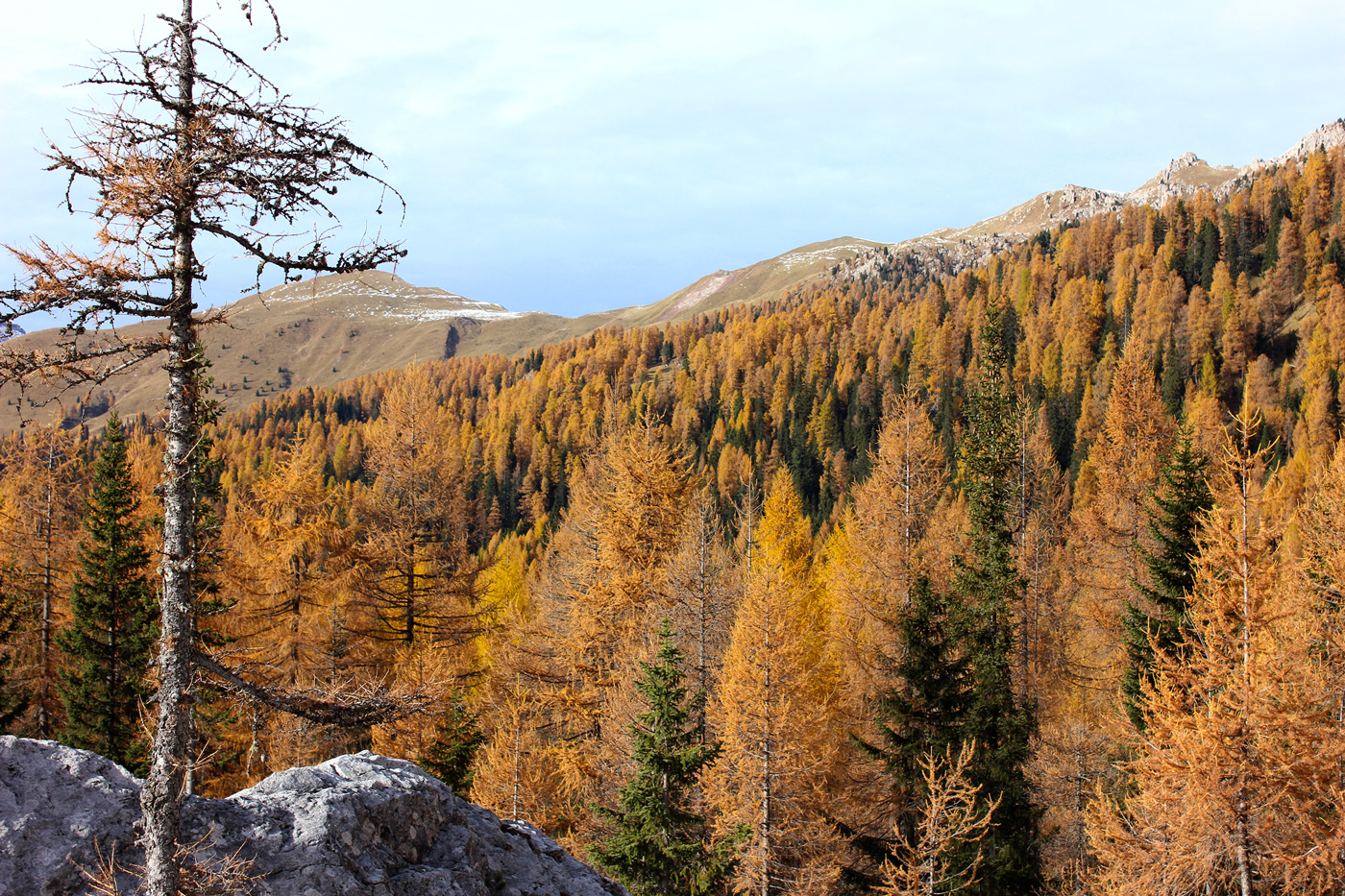 Val Venegia fiera di Primiero