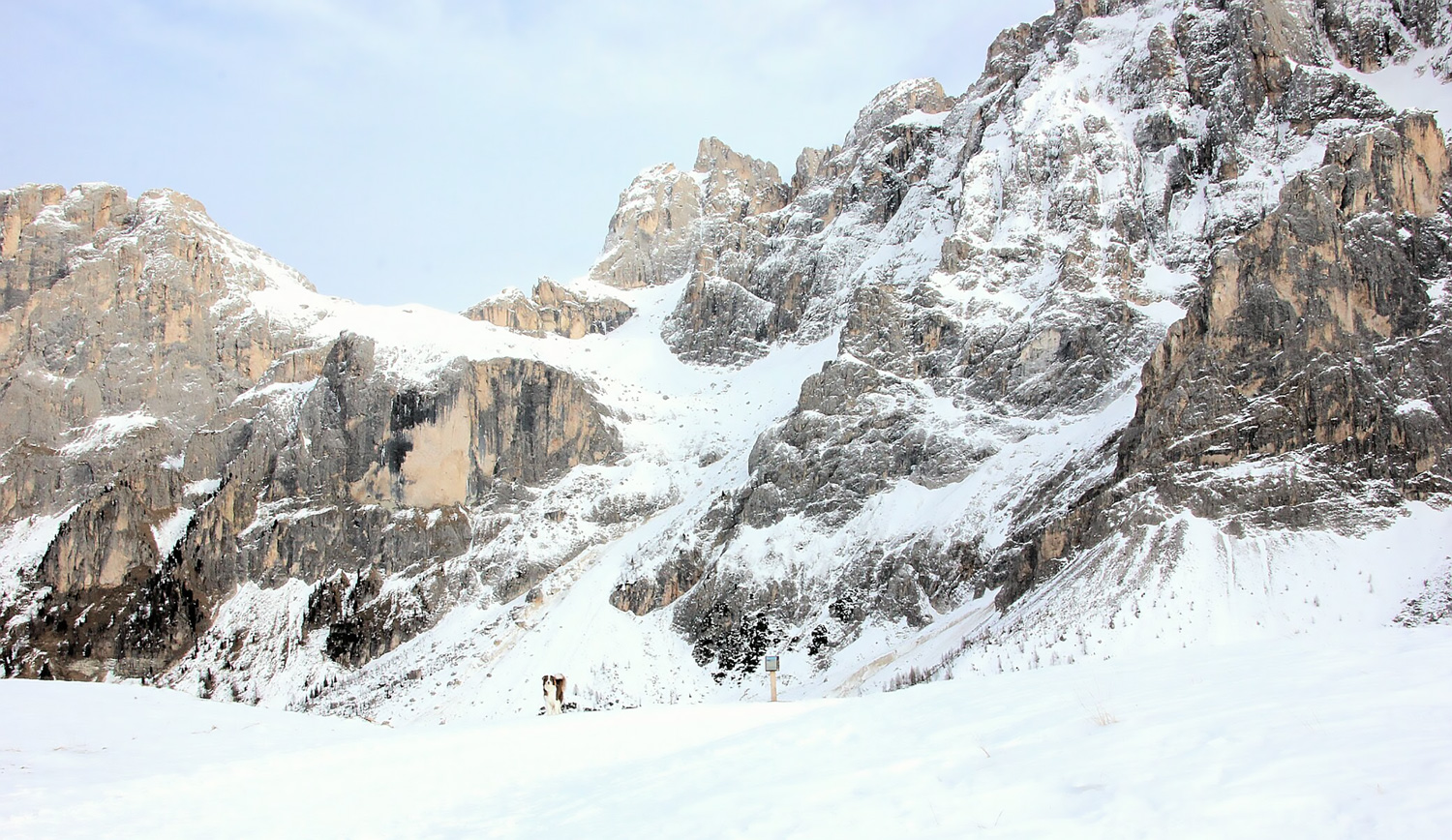 Pale di San martino