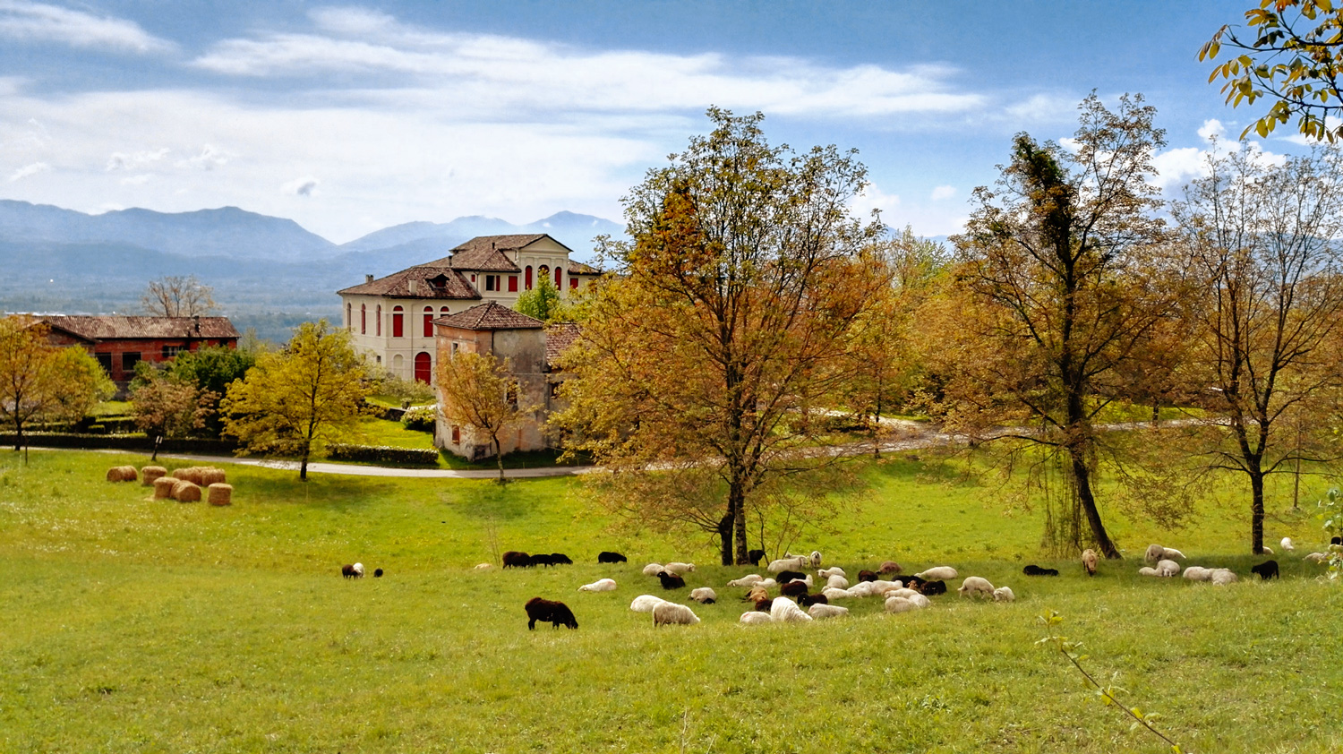 Villa Zandi Zasso sospirolo