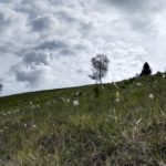 hdr
