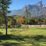 IMG-20171014-WA0011