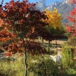IMG-20171014-WA0015