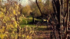 autunno parco